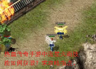 热血传奇手游中流星火雨技能如何获取?求攻略指点。 热血传奇手游中流星火雨技能如何获取?求攻略指点。