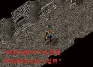 传奇私服999中白野猪掉落哪些装备与道具? 传奇私服999中白野猪掉落哪些装备与道具?