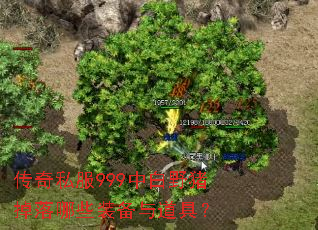 传奇私服999中白野猪掉落哪些装备与道具? 传奇私服999中白野猪掉落哪些装备与道具?