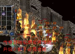 传奇游戏前期如何快速升级?新手必看攻略 传奇游戏前期如何快速升级?新手必看攻略