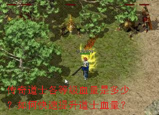 传奇道士各等级血量是多少?如何快速提升道士血量? 传奇道士各等级血量是多少?如何快速提升道士血量?