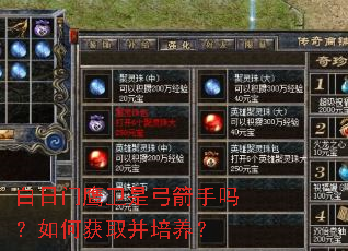 白日门鹰卫是弓箭手吗?如何获取并培养? 白日门鹰卫是弓箭手吗?如何获取并培养?