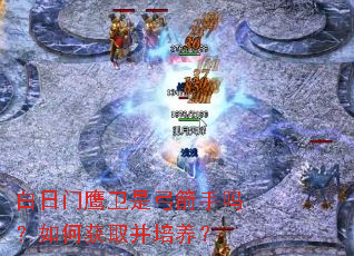 白日门鹰卫是弓箭手吗?如何获取并培养? 白日门鹰卫是弓箭手吗?如何获取并培养?