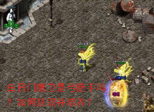 白日门鹰卫是弓箭手吗?如何获取并培养? 白日门鹰卫是弓箭手吗?如何获取并培养?