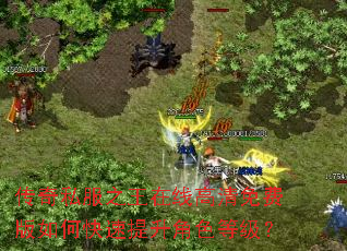 传奇私服之王在线高清免费版如何快速提升角色等级? 传奇私服之王在线高清免费版如何快速提升角色等级?