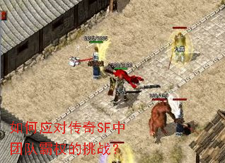 ���Ӧ�Դ���SF���ŶӰ�Ȩ����ս��