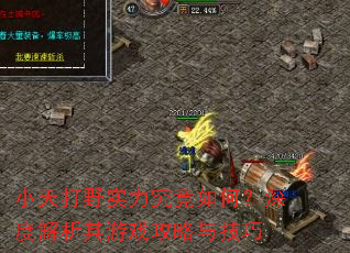 С���Ұʵ��������Σ���Ƚ�������Ϸ�����뼼��