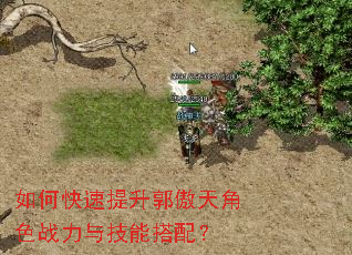 如何快速提升郭傲天角色战力与技能搭配? 如何快速提升郭傲天角色战力与技能搭配?