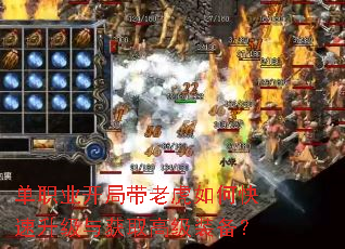 单职业开局带老虎如何快速升级与获取高级装备? 单职业开局带老虎如何快速升级与获取高级装备?
