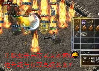 单职业开局带老虎如何快速升级与获取高级装备? 单职业开局带老虎如何快速升级与获取高级装备?