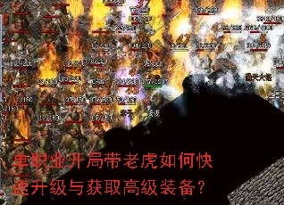 单职业开局带老虎如何快速升级与获取高级装备? 单职业开局带老虎如何快速升级与获取高级装备?