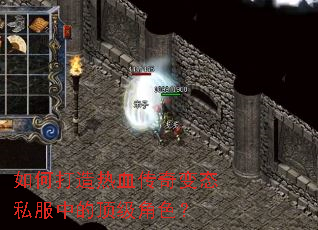��δ�����Ѫ�����̬˽���еĶ�����ɫ��