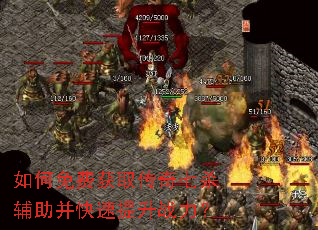 �����ѻ�ȡ������ɱ��������������ս����