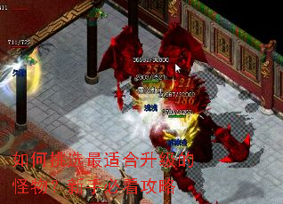 如何挑选最适合升级的怪物?新手必看攻略 如何挑选最适合升级的怪物?新手必看攻略