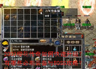 2003ӣ��������ο�������������Щ��ˢװ����BOSS���ԣ�