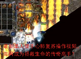 ���µ���ͽ���ķθ��ղ�����Ƶ����γ�Ϊ���������Ĵ�����֣�