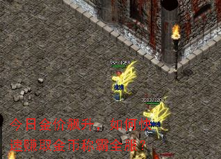 今日金价飙升,如何快速赚取金币称霸全服? 今日金价飙升,如何快速赚取金币称霸全服?