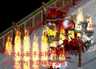 ����4ip������ο�������ս�����ȡϡ��װ����