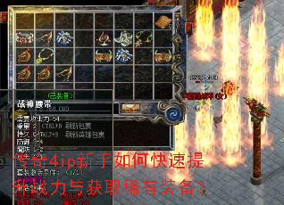 ����4ip������ο�������ս�����ȡϡ��װ����