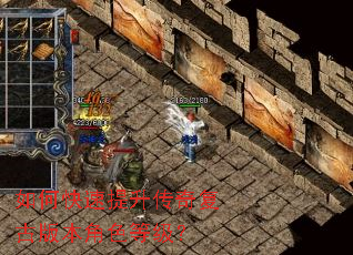如何快速提升传奇复古版本角色等级? 如何快速提升传奇复古版本角色等级?