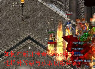 如何在新开传奇45woo中快速提升等级与获取顶级装备? 如何在新开传奇45woo中快速提升等级与获取顶级装备?